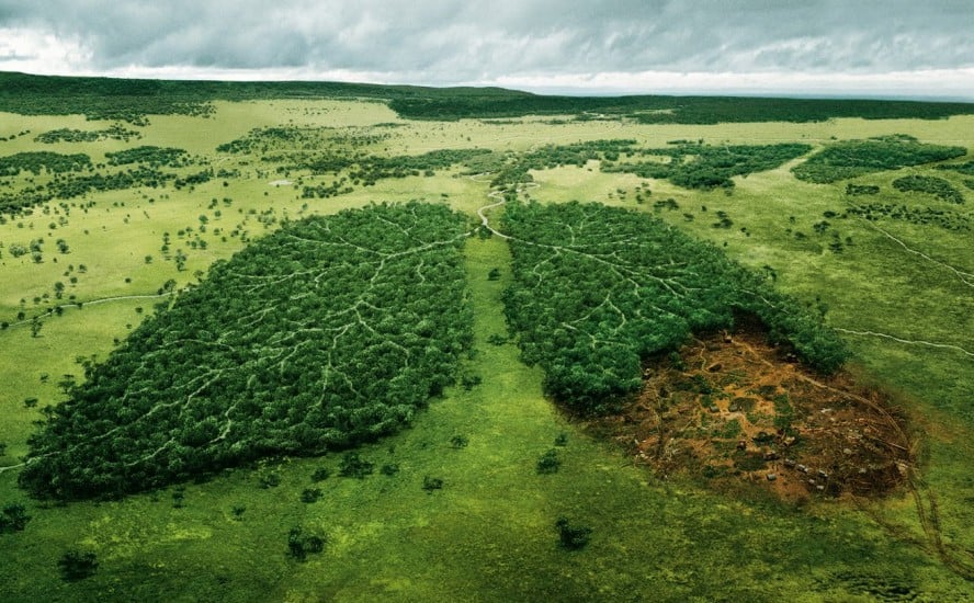 Pulmón ambiental